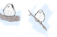 https://images.plurk.com/fMivFOhMzxjPYVXWBL7ou.jpg