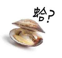 https://images.plurk.com/fWAV44dzqGoacmdKyo8k6.jpg