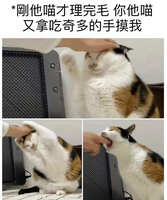 https://images.plurk.com/fWL6AW6yN087StGJxyOJ8.jpg