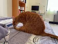 https://images.plurk.com/fYsZVsb1O27STwZ4jSUjw.jpg