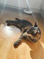 https://images.plurk.com/ffgiLqRMZnTiwQOlCZrnX.jpg