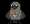 https://images.plurk.com/fnmaUMnU00Mta9DSwD8W.gif