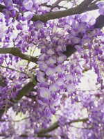 https://images.plurk.com/g0dHBc0o4H9EidjoeSZPa.jpg