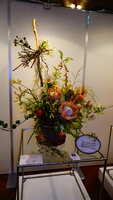 https://images.plurk.com/g25vZdZNpQhnlMcyXJJ0e.jpg