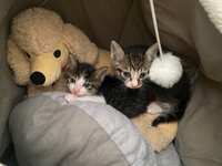 https://images.plurk.com/gKmVJTFlZPje3T3E5U4JO.jpg