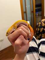 https://images.plurk.com/gLb5bNuy62PxP5yDUVDE3.jpg
