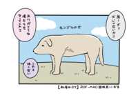 https://images.plurk.com/gUe6k3E1EApwh01QepNOT.png