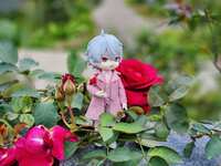 https://images.plurk.com/gbGQeQix8D0qarN9YNtWJ.jpg