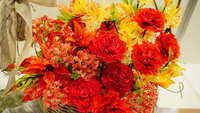 https://images.plurk.com/gc53PvGcji3nPsB4n7NsA.jpg