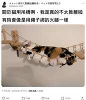 https://images.plurk.com/geBjdiyZEt3O5utt5TDUM.jpg