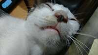 https://images.plurk.com/ggthUTdno2eSMmz7VQMPk.jpg