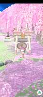 https://images.plurk.com/gnRXc9UdGSLUdKtqzWAm0.jpg