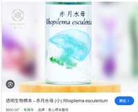 https://images.plurk.com/gqGKAzcfyn60eYJXqlDRG.png