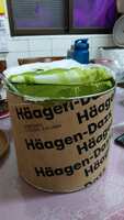 https://images.plurk.com/gzIYuWXpNJQuspuD43hiy.jpg