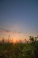 https://images.plurk.com/hBJP6etKQ5wQJIvr44mTN.jpg