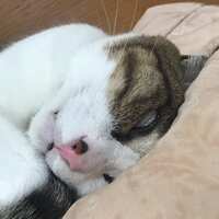 https://images.plurk.com/hHLHWT1U6C4cpXstQQdVm.jpg