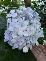 https://images.plurk.com/hIlB0CHchp7zFI1iCml59.jpg