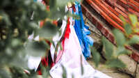 https://images.plurk.com/hLnqUHb0G3pF1NTfnnxDf.jpg