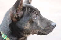 https://images.plurk.com/hWKxBhtfF4nIhdXWC58aB.jpg