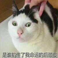 https://images.plurk.com/hcgcq4MYK1aSX0vReUjRt.jpg