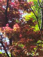 https://images.plurk.com/heSdnwRFWEhJDr8Th33pn.jpg