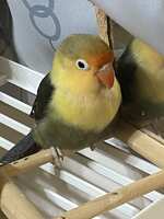 https://images.plurk.com/hiJ7BILTtbMotVj7a2hL9.jpg