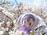 https://images.plurk.com/hjwCC0T0YzYzbjA358GjV.jpg