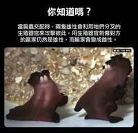 https://images.plurk.com/hk35QMpGpUGHSTdDmRR7r.jpg