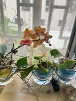 https://images.plurk.com/hkwIOjX5UCCPeL6QhZyMM.jpg