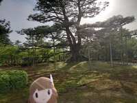 https://images.plurk.com/howA2Kww72Iz85zI3SaYU.jpg