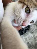 https://images.plurk.com/hx78MCDGu47bo65pO8LNm.jpg