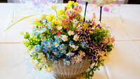 https://images.plurk.com/hzBcYtJPmYNrnvgQOM6zD.jpg
