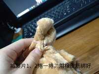 https://images.plurk.com/i43OQ8tcXzupoRY9I8yJr.jpg