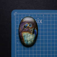 https://images.plurk.com/iBOptpYn1dxIn559TyaEw.jpg