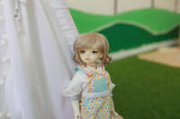 https://images.plurk.com/iF57aOHdkUCQlP6R3a8gs.jpg