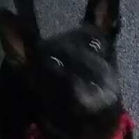 https://images.plurk.com/iJBTzEiAs3EV7ueiWtYMT.jpg