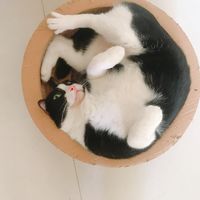 https://images.plurk.com/iX4jpAr4n7CK9l76ec35.jpg