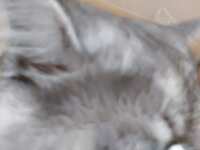 https://images.plurk.com/iYHPEJOUyB6ycnHceoZwo.jpg