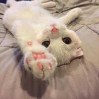 https://images.plurk.com/icaVfJ6t4JX6AjuPIG8W9.jpg