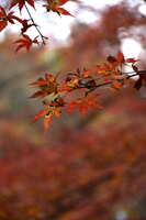 https://images.plurk.com/ifpTyPQGK8GO9Bu5mmLUi.jpg