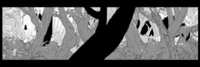 https://images.plurk.com/ikIfDr0WZO8Mkj3GVI9Nn.png