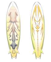 https://images.plurk.com/ikRZGCJUJbtLtjaYyELF7.png