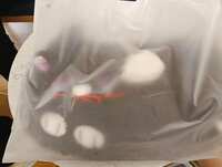 https://images.plurk.com/ilMGFzXsIPoGgSFkM6BL7.jpg