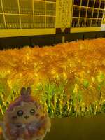 https://images.plurk.com/iwxSd9l4W63PTrzQRjB0a.jpg