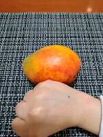 https://images.plurk.com/jHA8vHqsnDNOKwivzxzpP.jpg