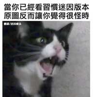 https://images.plurk.com/jI7P8rAOSmtE4R1nlAzMX.jpg