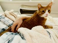 https://images.plurk.com/jO16emRq0SH2JQRNNakdU.jpg