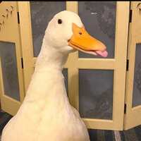 https://images.plurk.com/jaV8iUDtU26YPQVVPn2fG.jpg