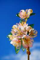 https://images.plurk.com/jgbtvbd6fFYCAbLwl8yby.jpg