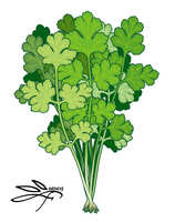 https://images.plurk.com/jgswbWKnJM8GFjMTtqwpz.jpg